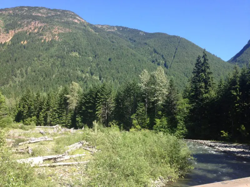Skagit River Trail