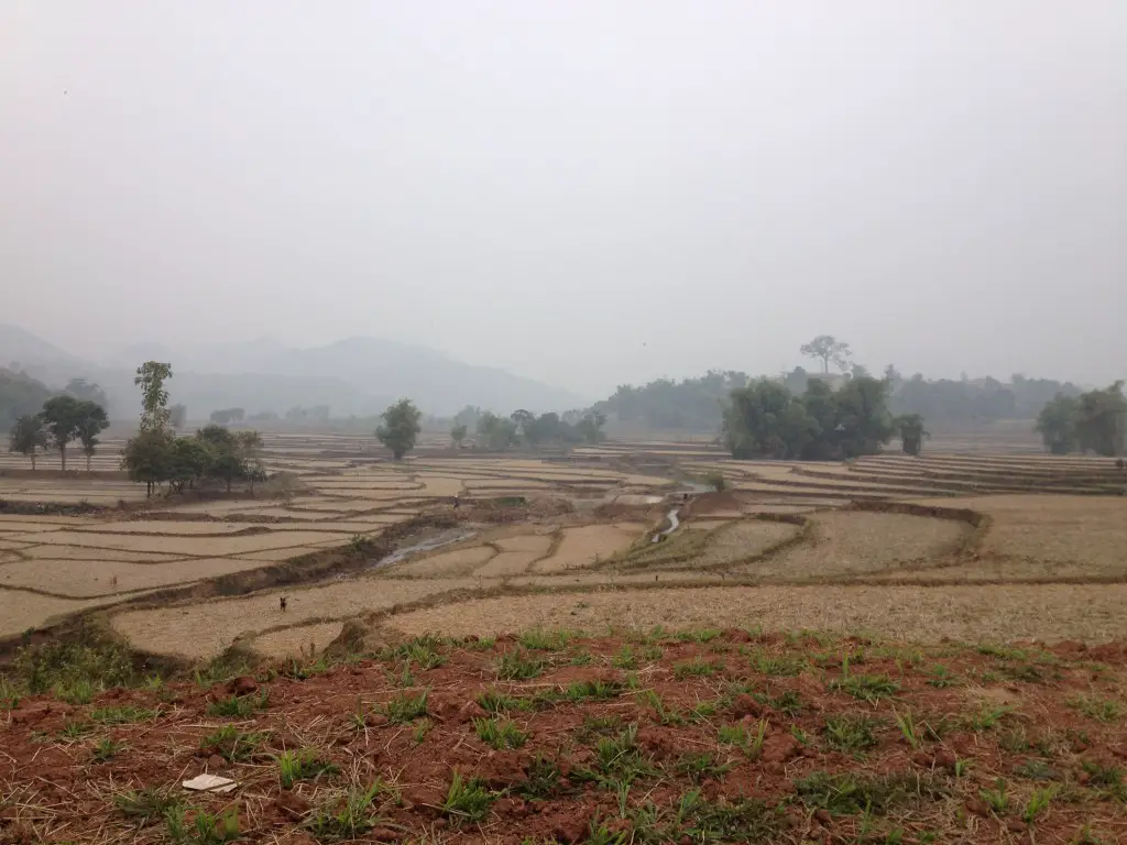 Vietnam Rice Terraces