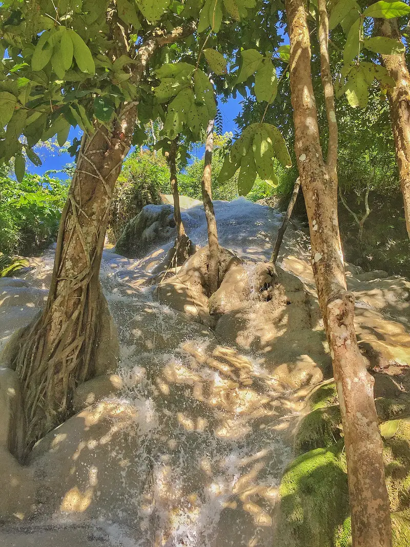 bua thong sticky waterfalls looking up