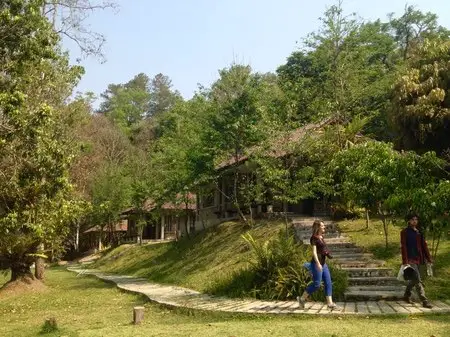 Morning campsite on Doi Inthanon Mountain