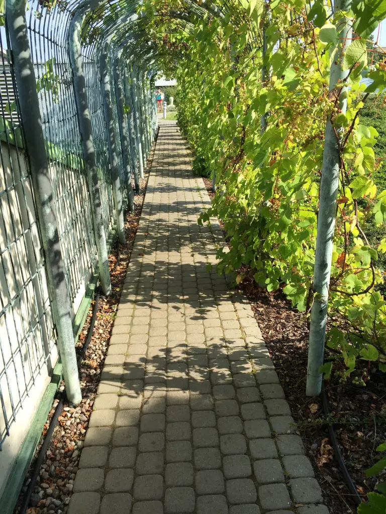 University of Warsaw Garden Tunnel