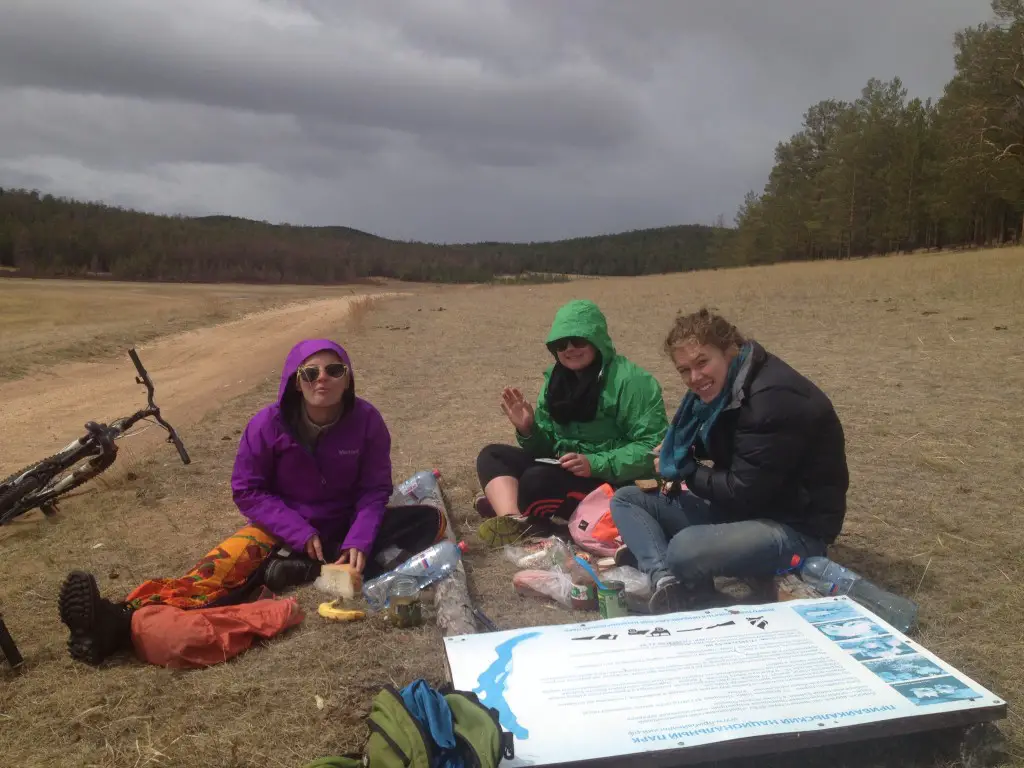 Picnic with uninvited guests