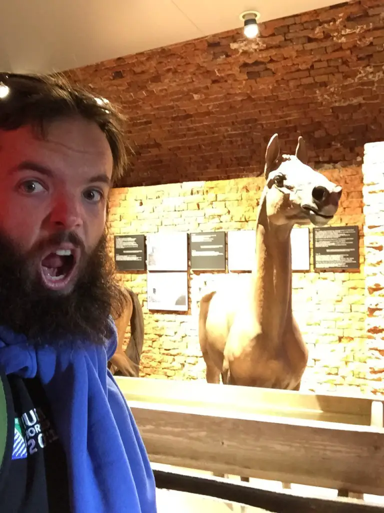 Horsing around in the museum