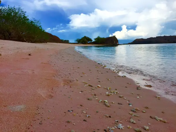 At Pink Beach, Komodo Island