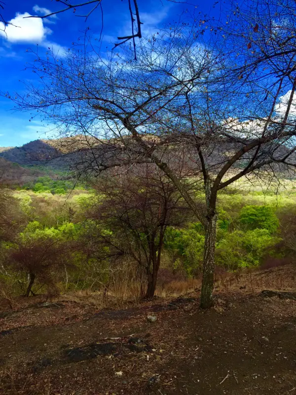 Komodo National Park