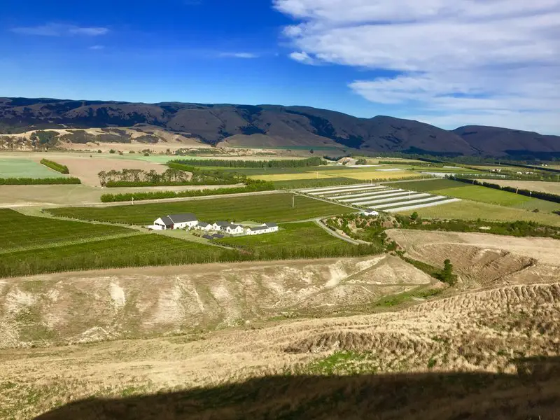 Looking out over Te Muna Valley