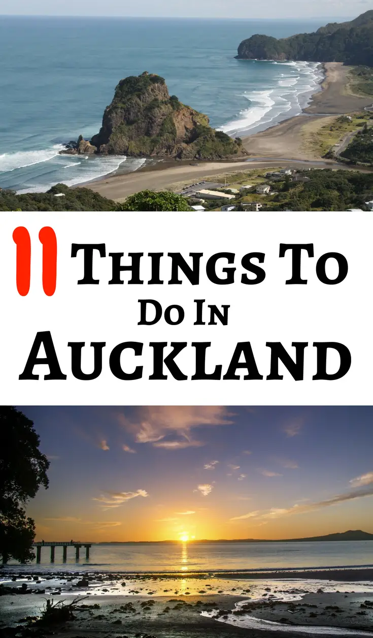 things to do in auckland