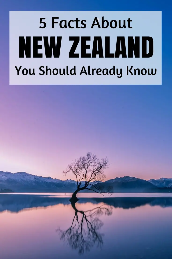 random facts about new zealand