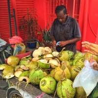 coconuts in penang