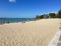mission bay auckland