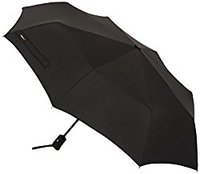 amazon basics umbrella for travel