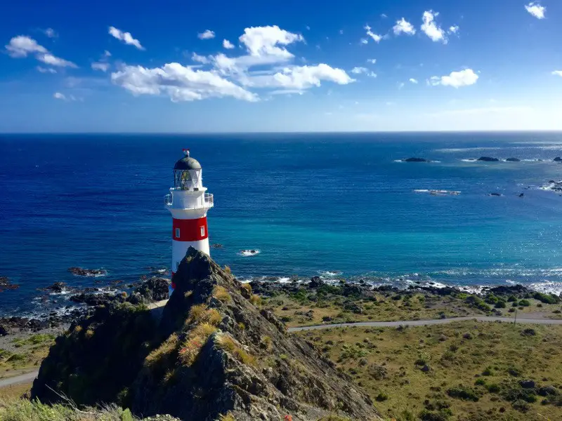 cape palliser lighthouse