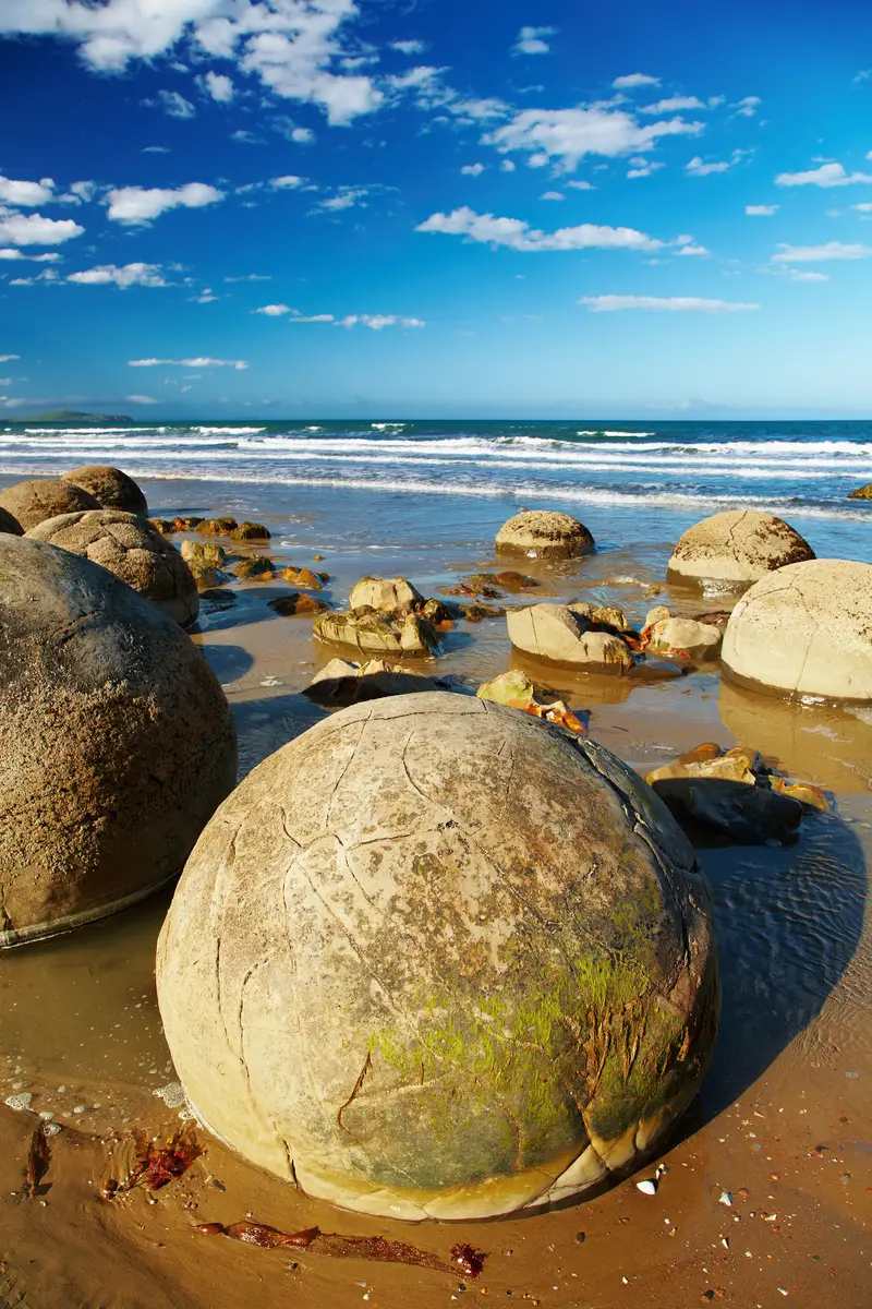 moeraki boulders are free