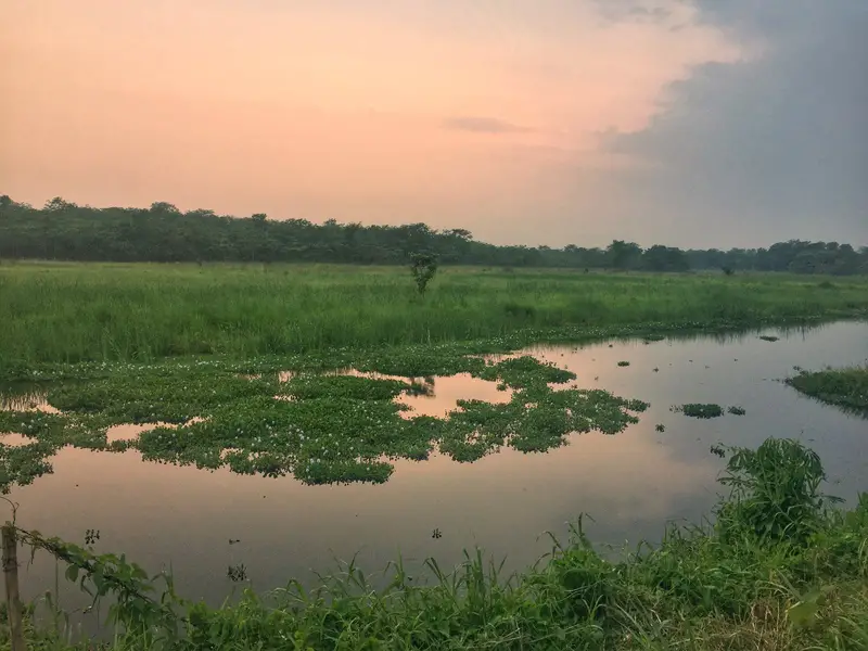 chitwan national park sunset