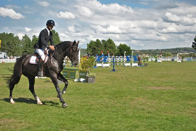 equestrian in france