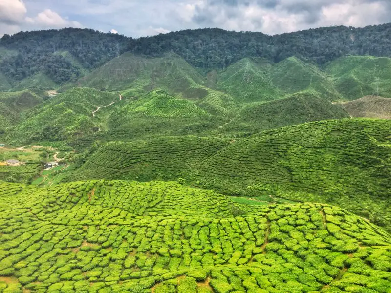 view of nature