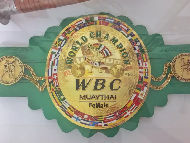 wbc martial arts belt