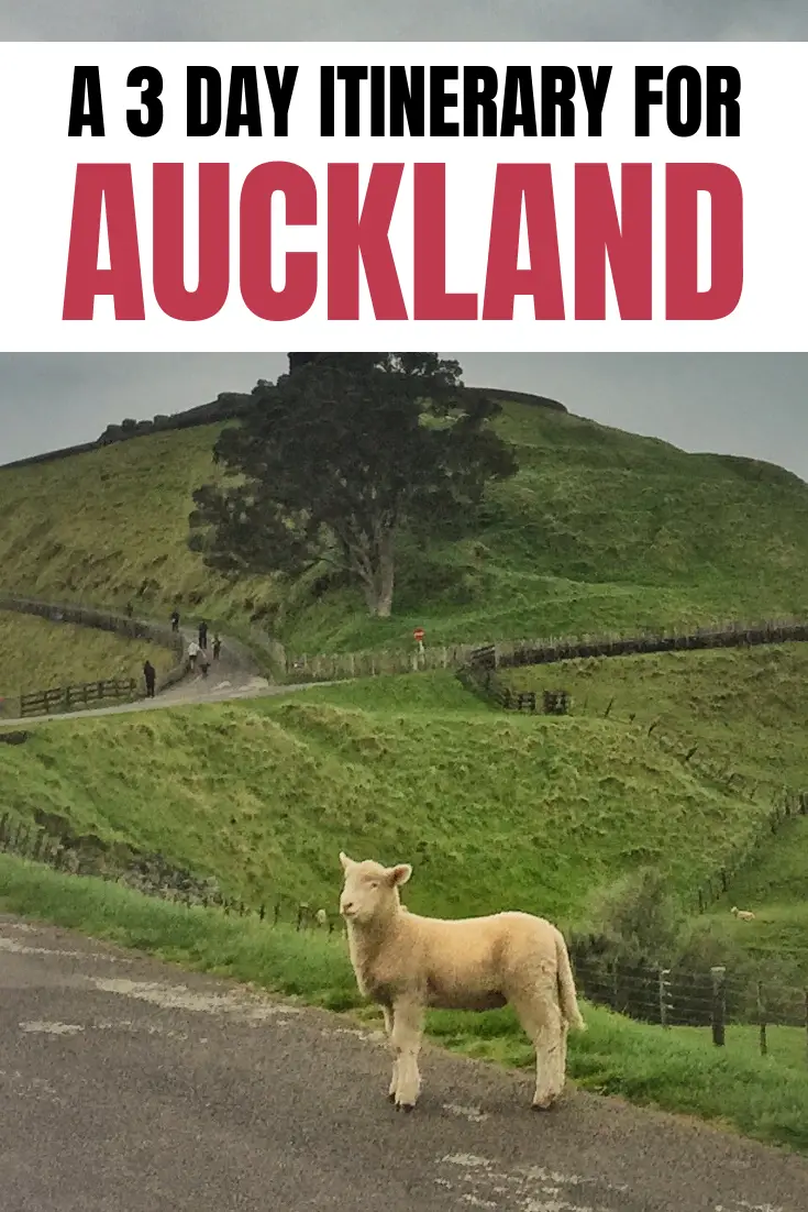 3 days in auckland