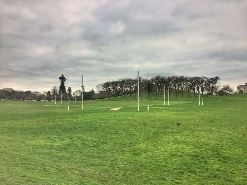 auckland domain rugby fields