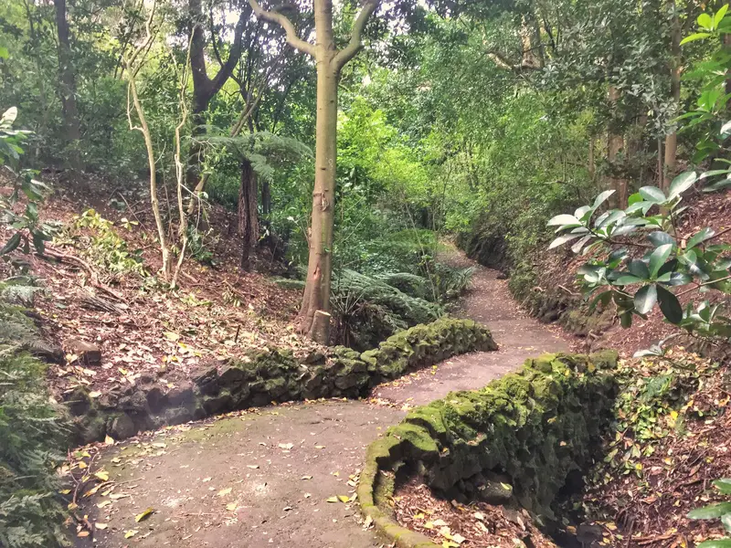 auckland domain trail