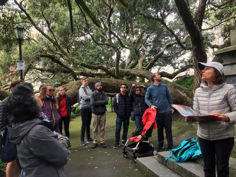 free walking tour auckland