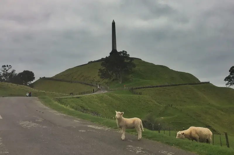 iconic new zealand