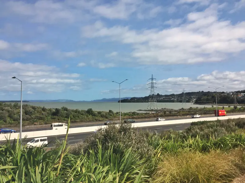 manukau harbour