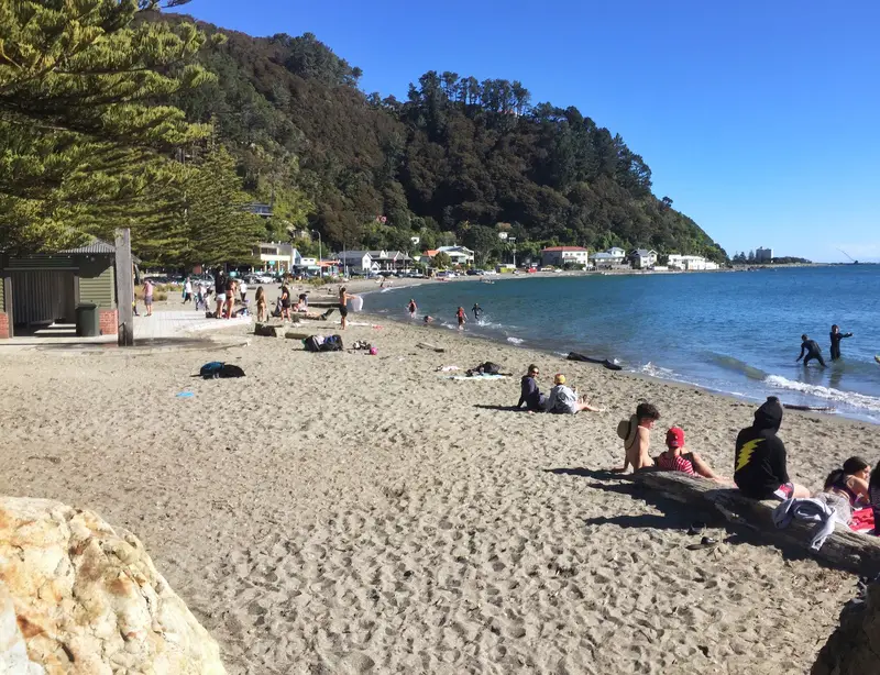 days bay wellington