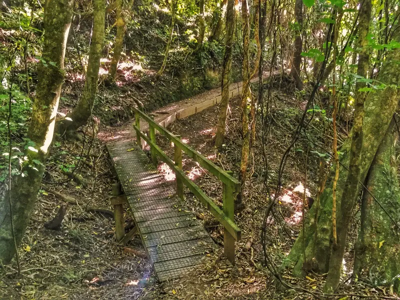 hemi matenga scenic reserve