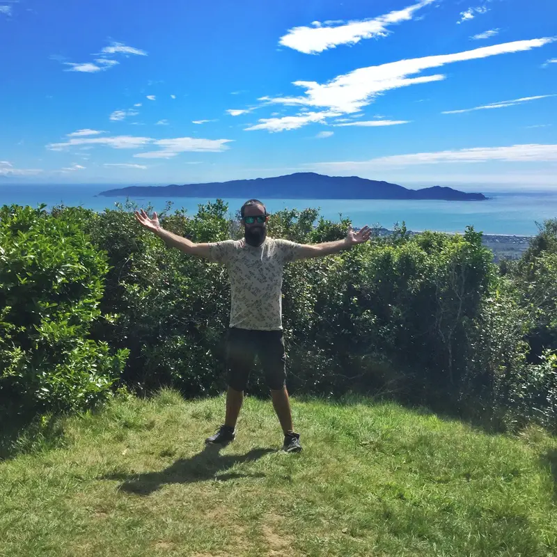 kapiti island from te au track