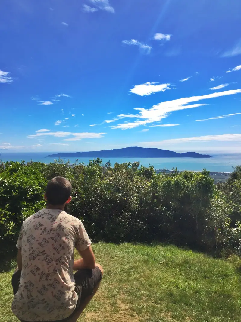 kapiti island lookout