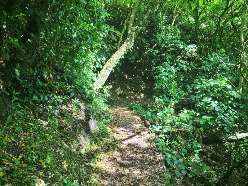 manawatu gorge path
