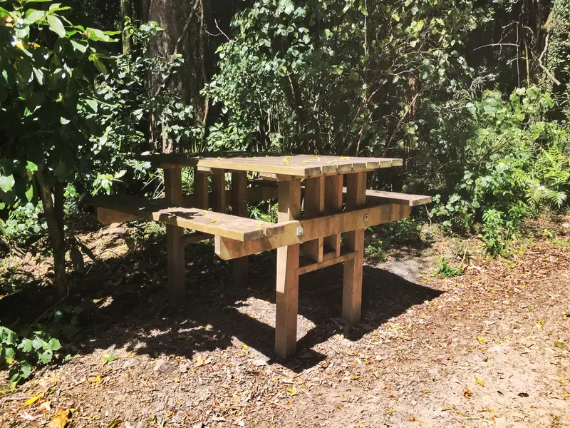 manawatu gorge picnic table