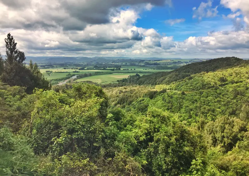 manawatu gorge plains