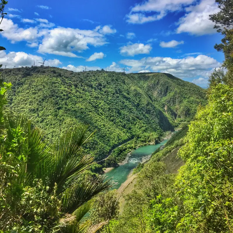 manawatu gorge river view