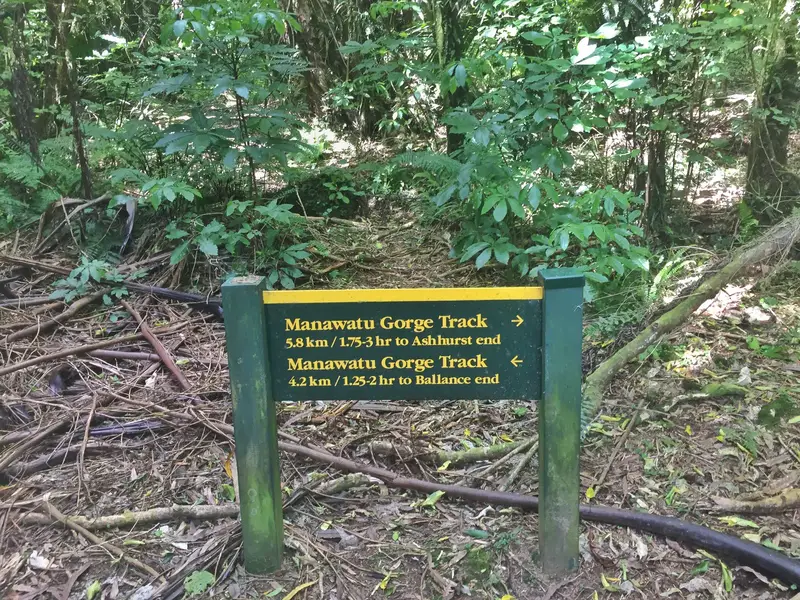 manawatu gorge signs