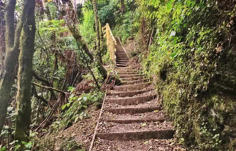 manawatu gorge stairs