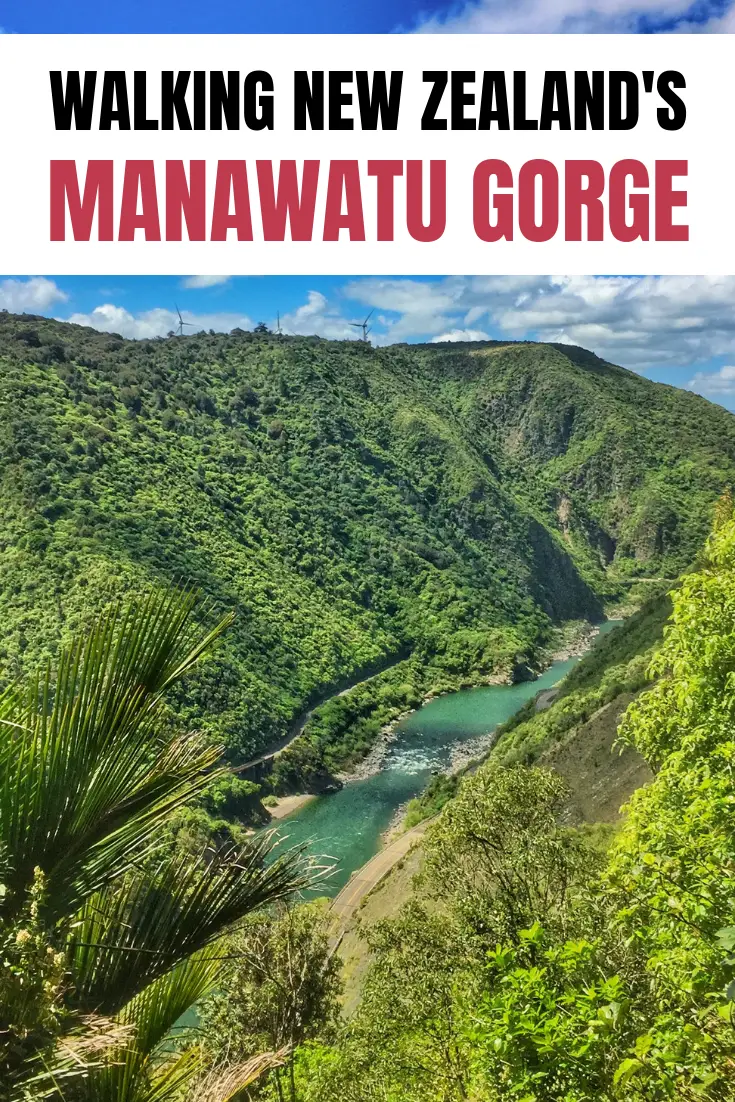 manawatu gorge walk palmerston north