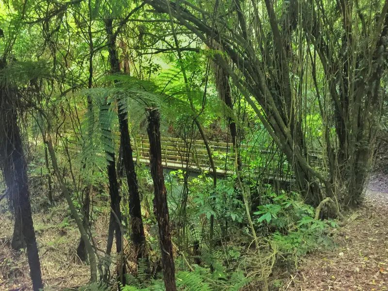manawatu gorge walkway