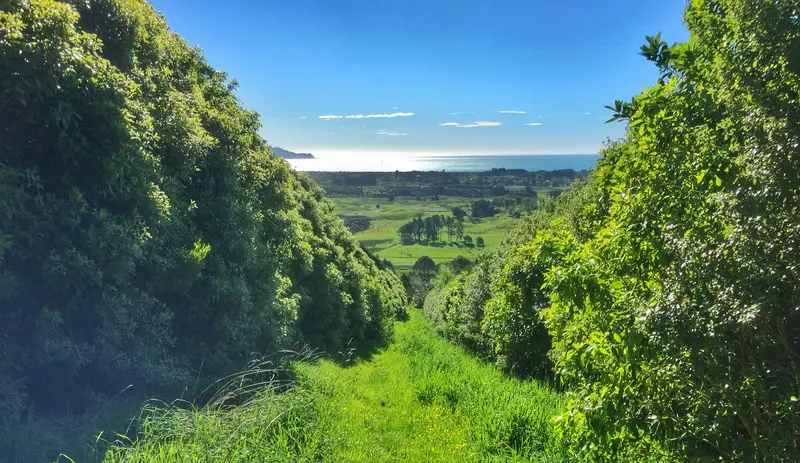 grass way to huia crescent