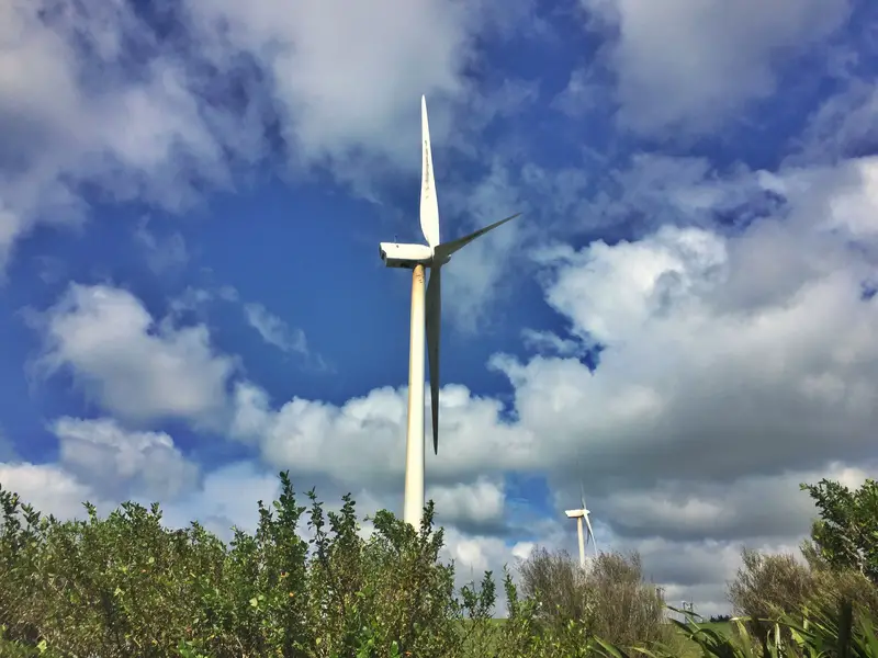 te apiti windmills