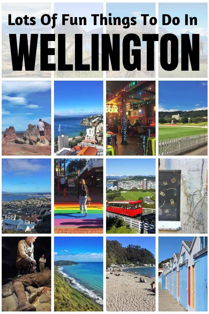 things to do in wellington