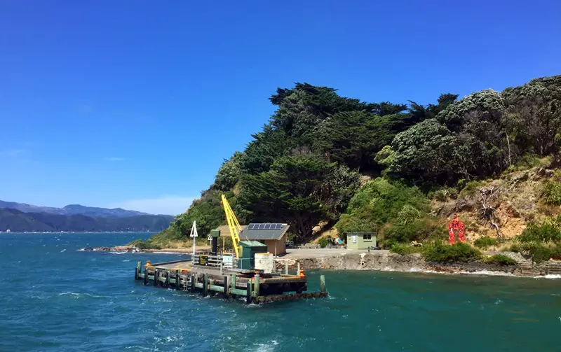 arriving at somes island