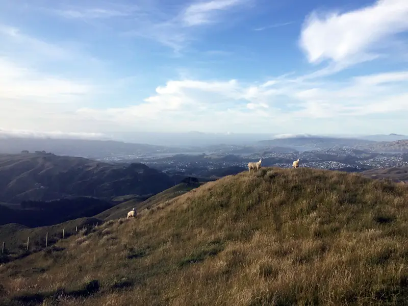 belmont regional park