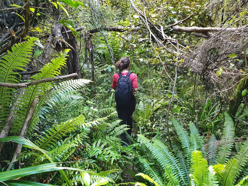 lost looking for nicholls falls