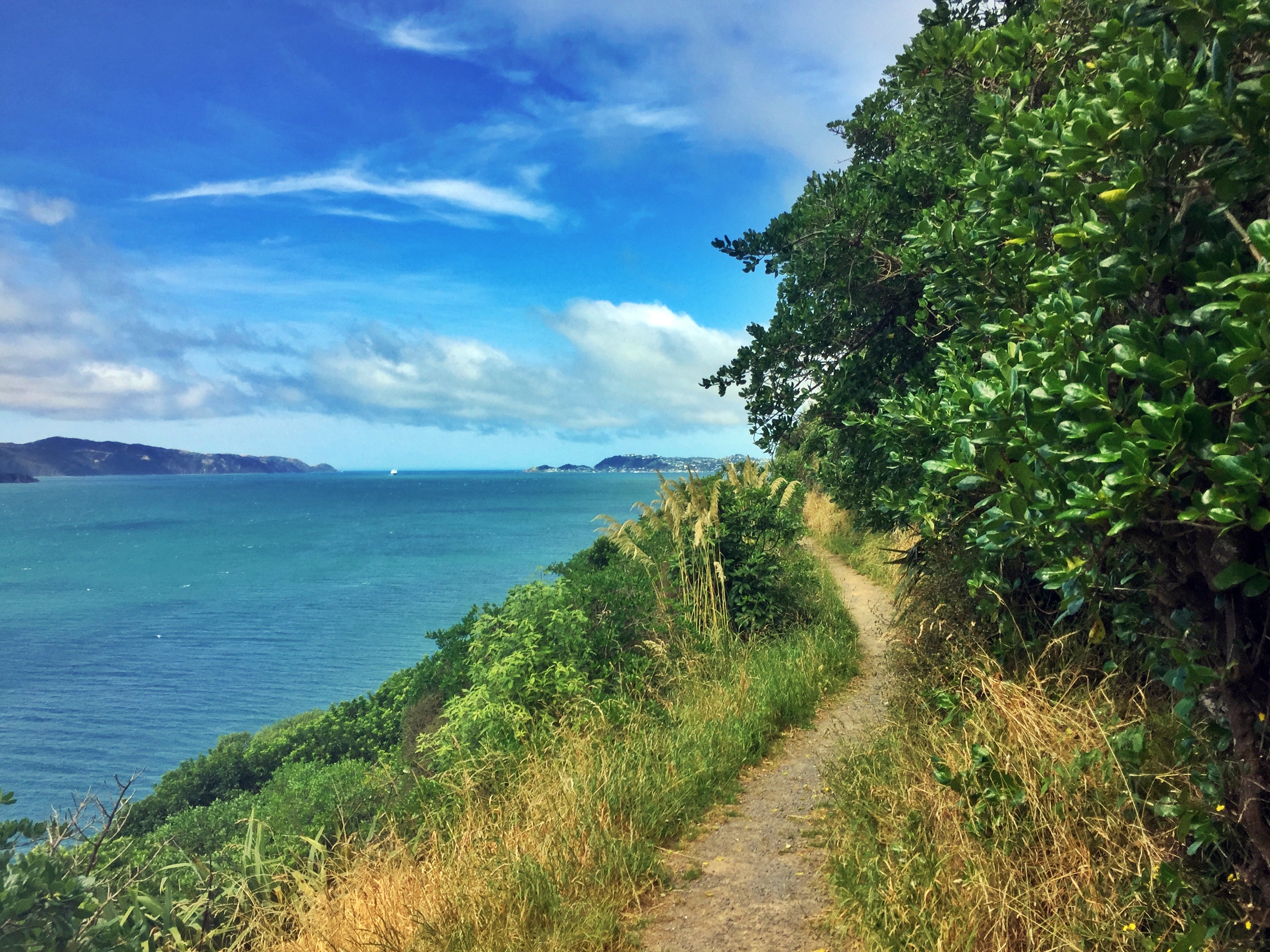 matiu somes island walk