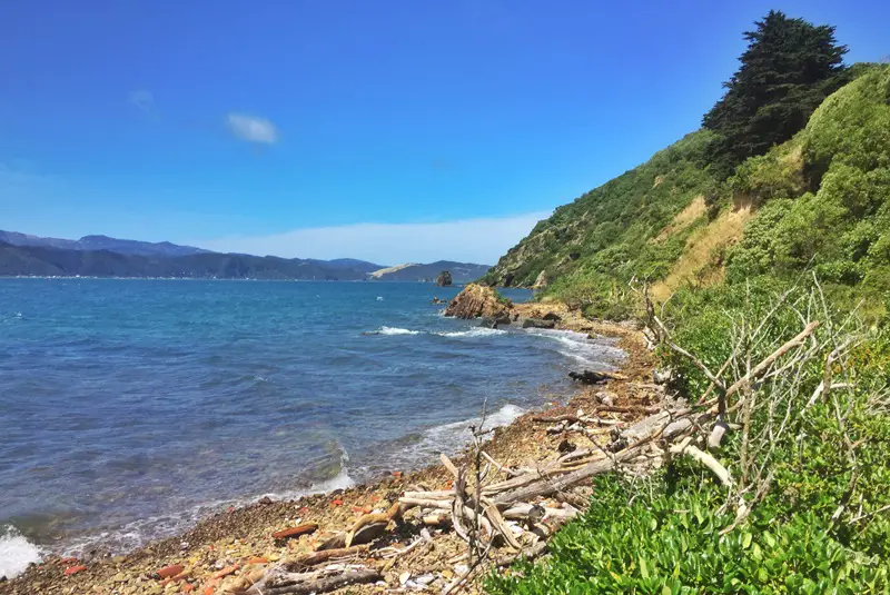 somes island jetty