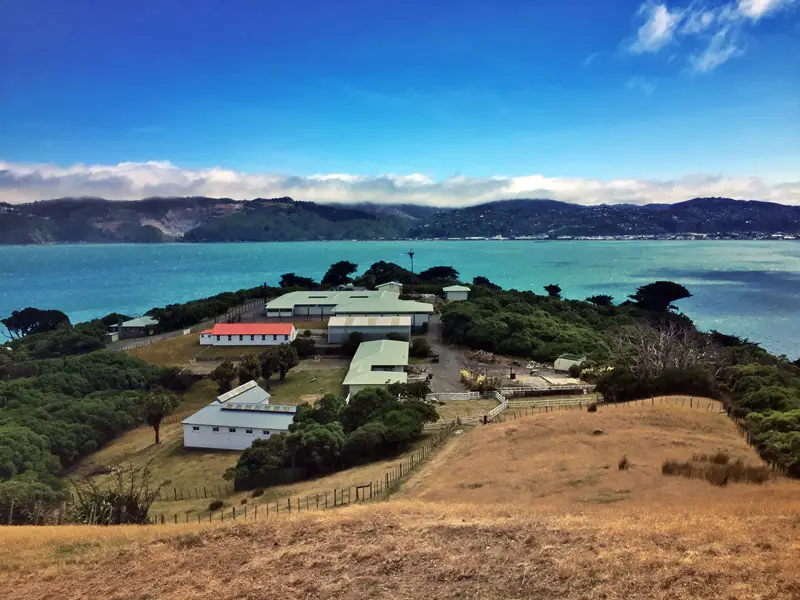 somes island view