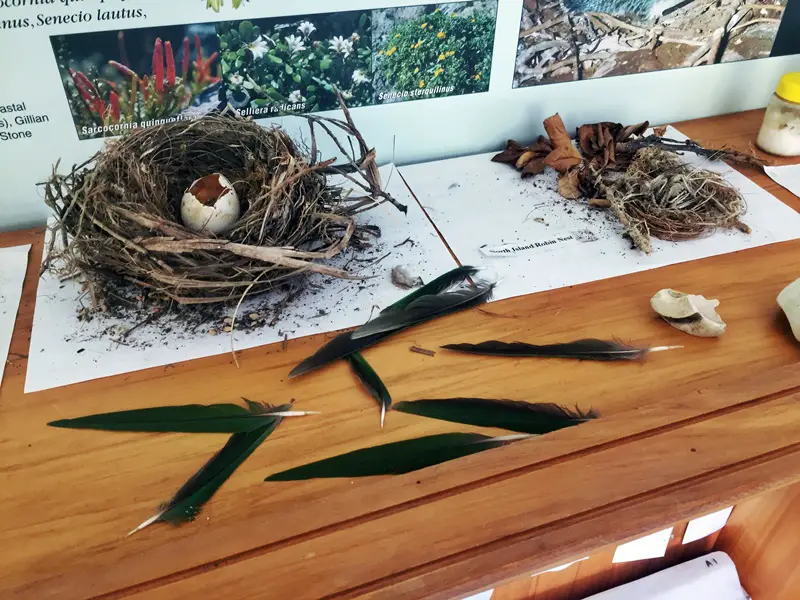 somes island visitor center