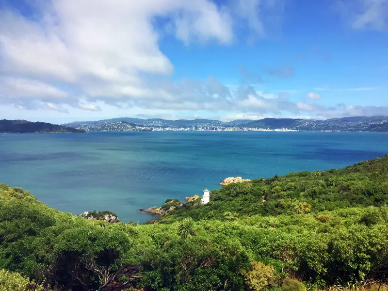 view of wellington